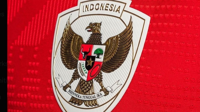 timnas indonesia