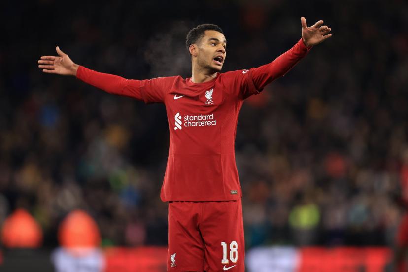 Bayern Munchen Siap Rogoh Kocek Dalam Demi Cody Gakpo